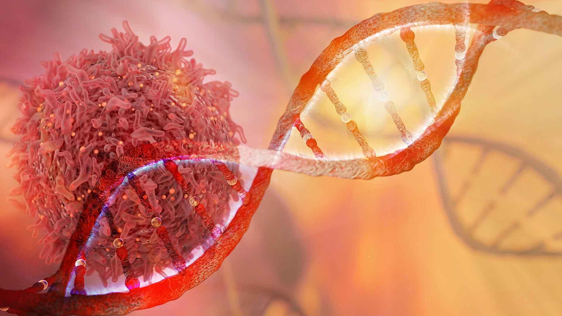 DNA cell gene editing at Pirbright DNA cell