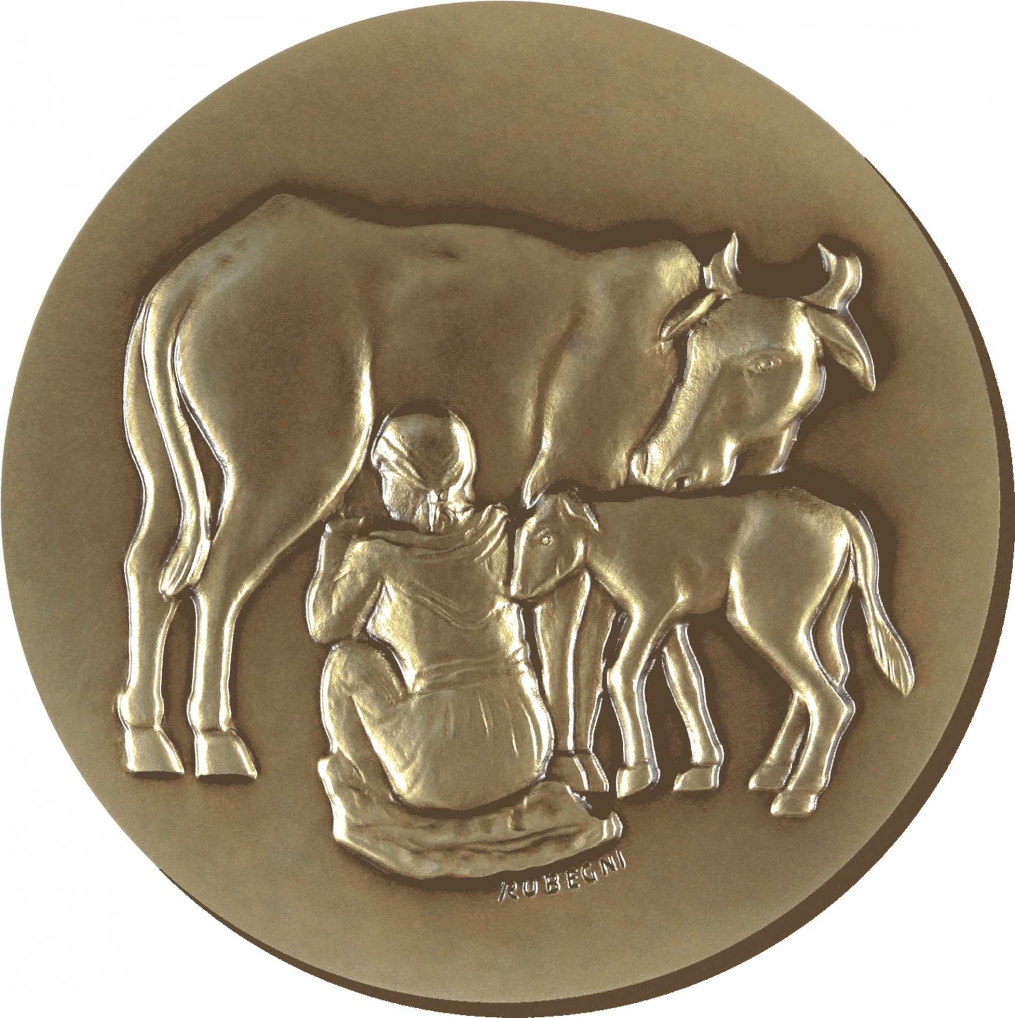 FAO Medal for Rinderpest Eradication front FAO Medal for Rinderpest Eradication front