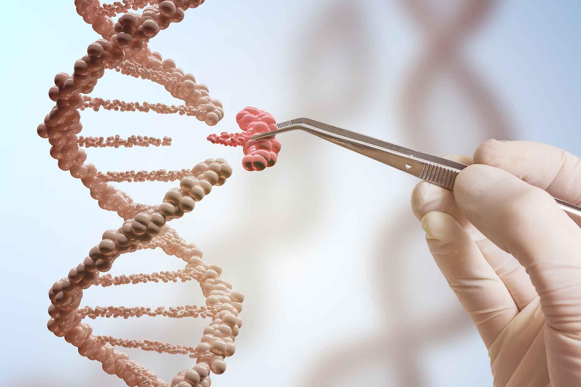 Gene editing at Pirbright Gene editing