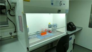 Cabinet in laboratory.